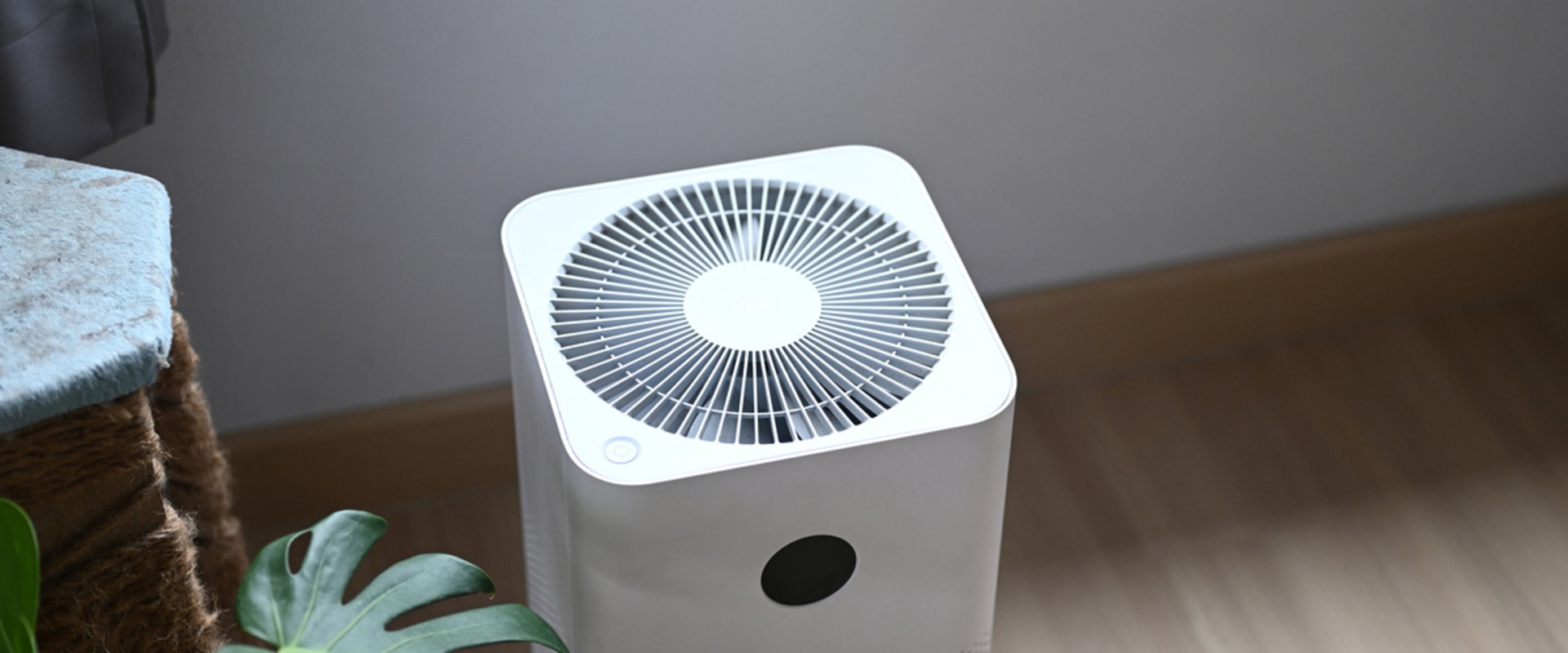 Do Reusable Home Air Filters Really Work? A Comprehensive Guide
